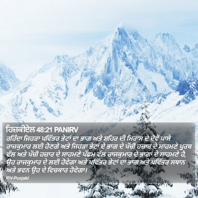 ਹਿਜ਼ਕੀਏਲ 48:21 PANIRV Bible Verse Image