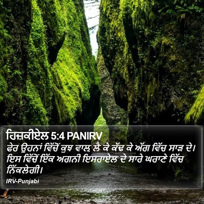 ਹਿਜ਼ਕੀਏਲ 5:4 PANIRV Bible Verse Image