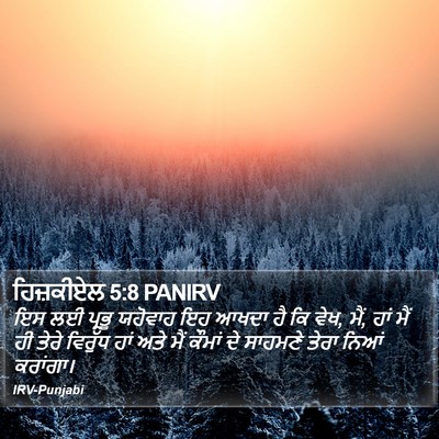 ਹਿਜ਼ਕੀਏਲ 5:8 PANIRV Bible Verse Image
