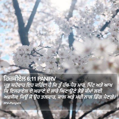 ਹਿਜ਼ਕੀਏਲ 6:11 PANIRV Bible Verse Image