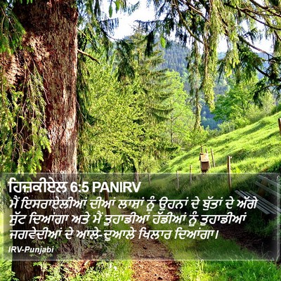 ਹਿਜ਼ਕੀਏਲ 6:5 PANIRV Bible Verse Image