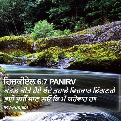 ਹਿਜ਼ਕੀਏਲ 6:7 PANIRV Bible Verse Image