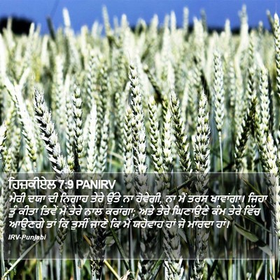 ਹਿਜ਼ਕੀਏਲ 7:9 PANIRV Bible Verse Image