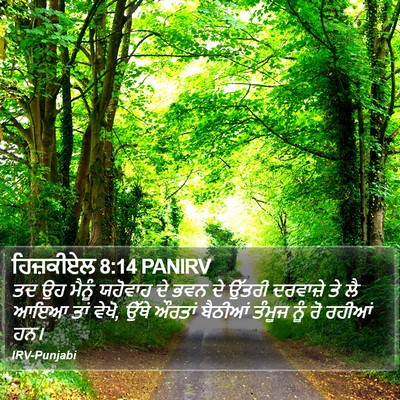 ਹਿਜ਼ਕੀਏਲ 8:14 PANIRV Bible Verse Image