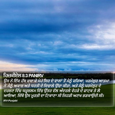 ਹਿਜ਼ਕੀਏਲ 8:3 PANIRV Bible Verse Image