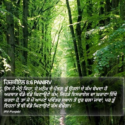 ਹਿਜ਼ਕੀਏਲ 8:6 PANIRV Bible Verse Image