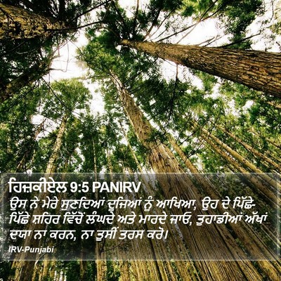 ਹਿਜ਼ਕੀਏਲ 9:5 PANIRV Bible Verse Image