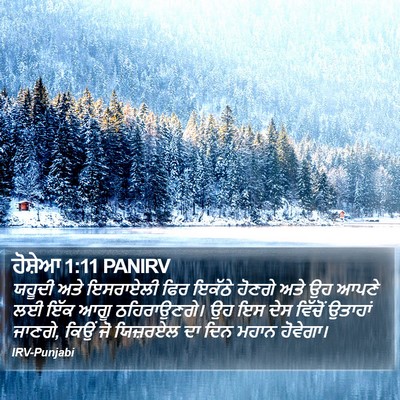 ਹੋਸ਼ੇਆ 1:11 PANIRV Bible Verse Image