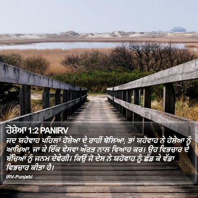 ਹੋਸ਼ੇਆ 1:2 PANIRV Bible Verse Image