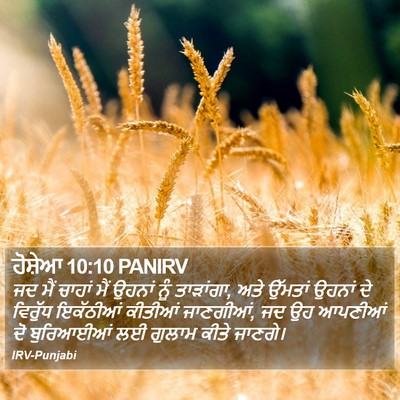 ਹੋਸ਼ੇਆ 10:10 PANIRV Bible Verse Image
