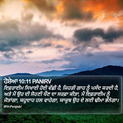 ਹੋਸ਼ੇਆ 10:11 PANIRV Bible Verse Image