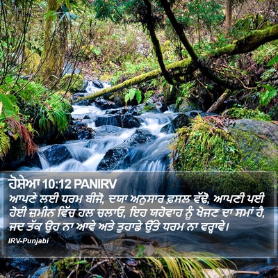 ਹੋਸ਼ੇਆ 10:12 PANIRV Bible Verse Image