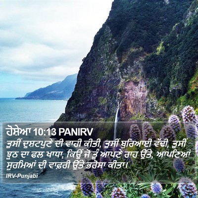 ਹੋਸ਼ੇਆ 10:13 PANIRV Bible Verse Image