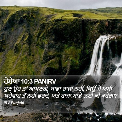 ਹੋਸ਼ੇਆ 10:3 PANIRV Bible Verse Image