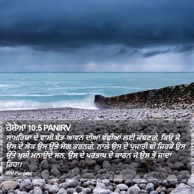 ਹੋਸ਼ੇਆ 10:5 PANIRV Bible Verse Image