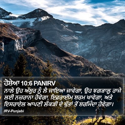 ਹੋਸ਼ੇਆ 10:6 PANIRV Bible Verse Image