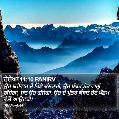 ਹੋਸ਼ੇਆ 11:10 PANIRV Bible Verse Image