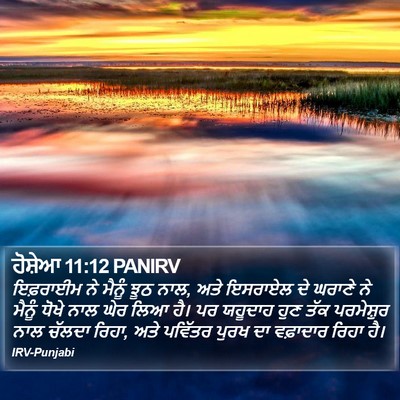 ਹੋਸ਼ੇਆ 11:12 PANIRV Bible Verse Image