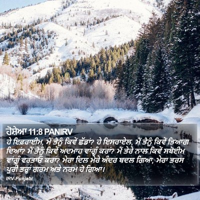 ਹੋਸ਼ੇਆ 11:8 PANIRV Bible Verse Image