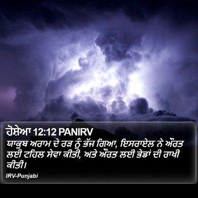ਹੋਸ਼ੇਆ 12:12 PANIRV Bible Verse Image