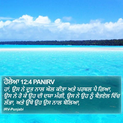 ਹੋਸ਼ੇਆ 12:4 PANIRV Bible Verse Image