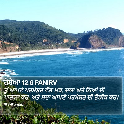 ਹੋਸ਼ੇਆ 12:6 PANIRV Bible Verse Image