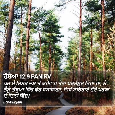 ਹੋਸ਼ੇਆ 12:9 PANIRV Bible Verse Image