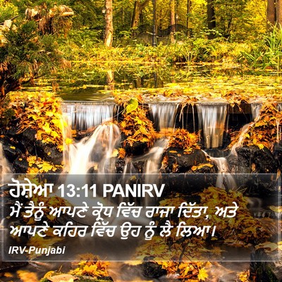 ਹੋਸ਼ੇਆ 13:11 PANIRV Bible Verse Image