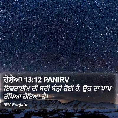 ਹੋਸ਼ੇਆ 13:12 PANIRV Bible Verse Image
