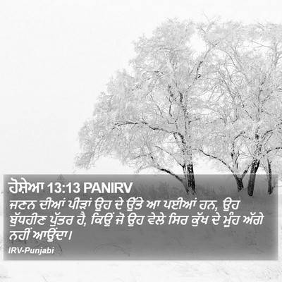 ਹੋਸ਼ੇਆ 13:13 PANIRV Bible Verse Image