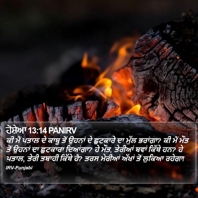 ਹੋਸ਼ੇਆ 13:14 PANIRV Bible Verse Image