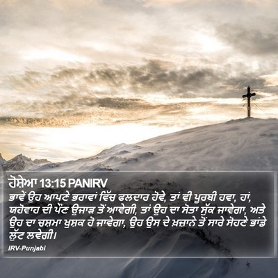 ਹੋਸ਼ੇਆ 13:15 PANIRV Bible Verse Image