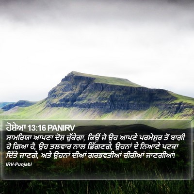 ਹੋਸ਼ੇਆ 13:16 PANIRV Bible Verse Image
