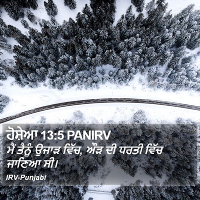 ਹੋਸ਼ੇਆ 13:5 PANIRV Bible Verse Image