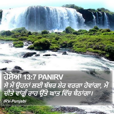 ਹੋਸ਼ੇਆ 13:7 PANIRV Bible Verse Image