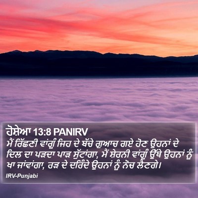 ਹੋਸ਼ੇਆ 13:8 PANIRV Bible Verse Image