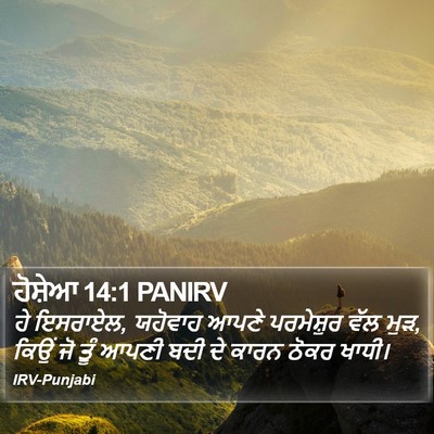ਹੋਸ਼ੇਆ 14:1 PANIRV Bible Verse Image