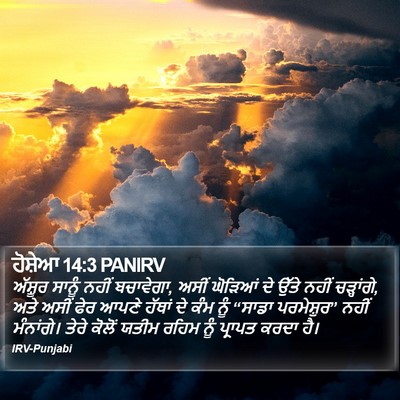 ਹੋਸ਼ੇਆ 14:3 PANIRV Bible Verse Image