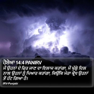ਹੋਸ਼ੇਆ 14:4 PANIRV Bible Verse Image