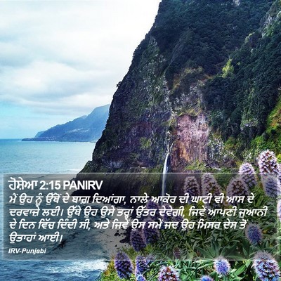 ਹੋਸ਼ੇਆ 2:15 PANIRV Bible Verse Image