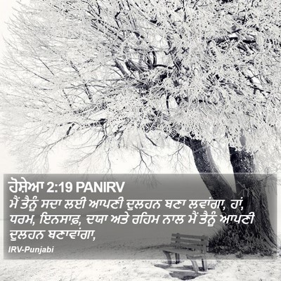ਹੋਸ਼ੇਆ 2:19 PANIRV Bible Verse Image