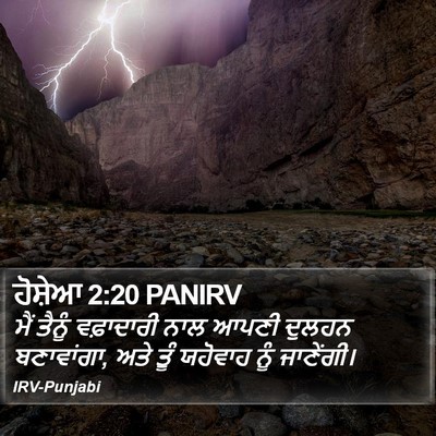 ਹੋਸ਼ੇਆ 2:20 PANIRV Bible Verse Image