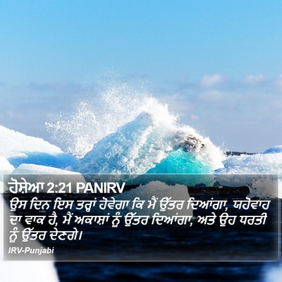 ਹੋਸ਼ੇਆ 2:21 PANIRV Bible Verse Image