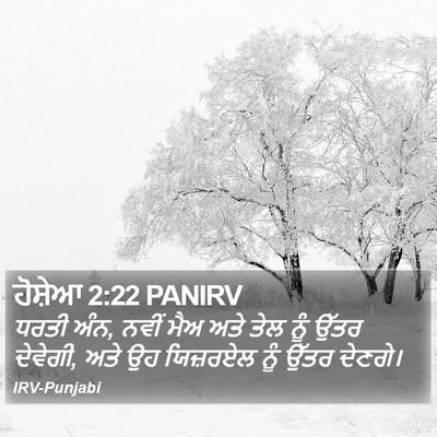ਹੋਸ਼ੇਆ 2:22 PANIRV Bible Verse Image
