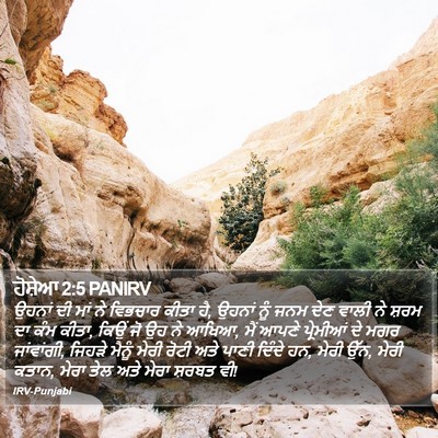 ਹੋਸ਼ੇਆ 2:5 PANIRV Bible Verse Image