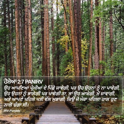 ਹੋਸ਼ੇਆ 2:7 PANIRV Bible Verse Image