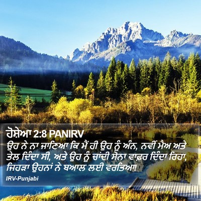 ਹੋਸ਼ੇਆ 2:8 PANIRV Bible Verse Image