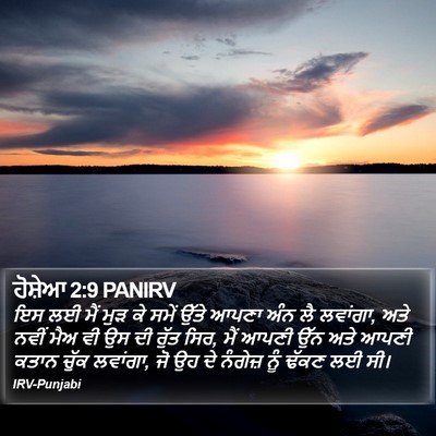 ਹੋਸ਼ੇਆ 2:9 PANIRV Bible Verse Image