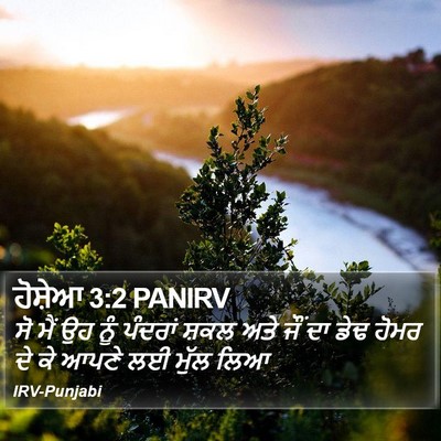 ਹੋਸ਼ੇਆ 3:2 PANIRV Bible Verse Image