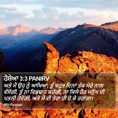 ਹੋਸ਼ੇਆ 3:3 PANIRV Bible Verse Image